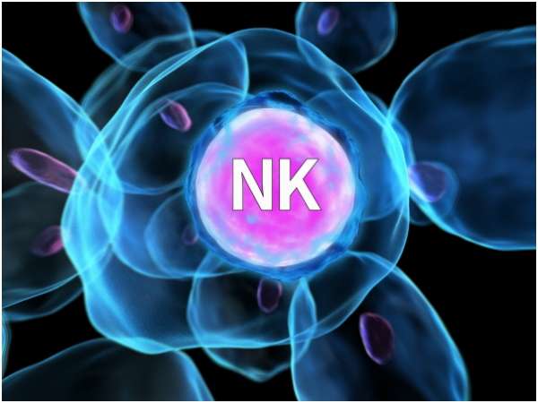 NK Cell Therapy