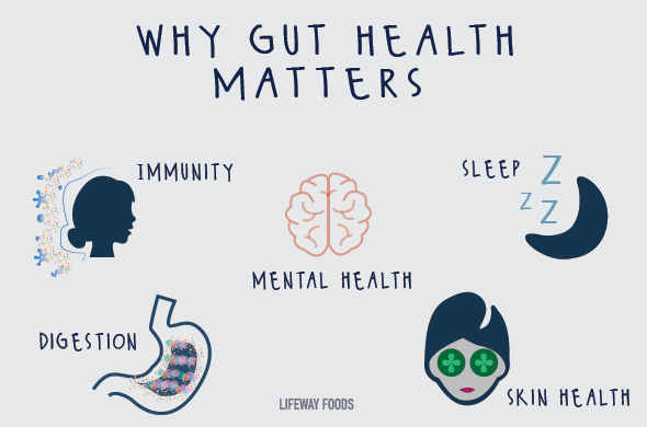 Gut-Health