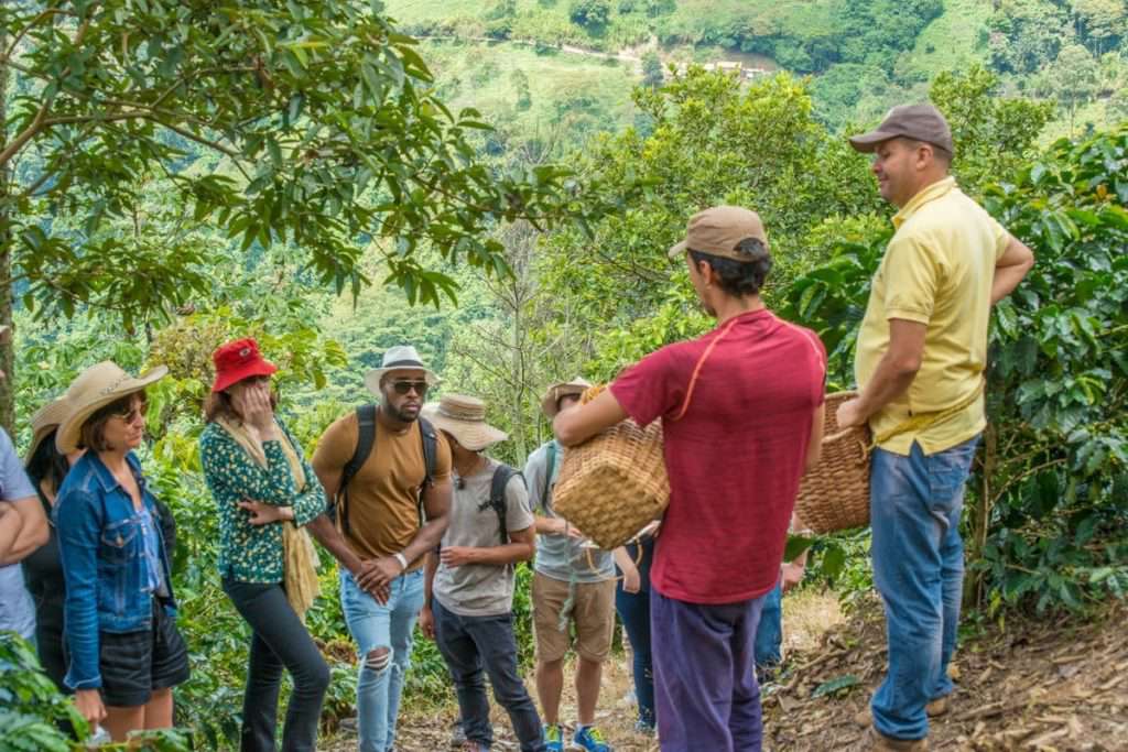 Medellin-Coffee-Farm