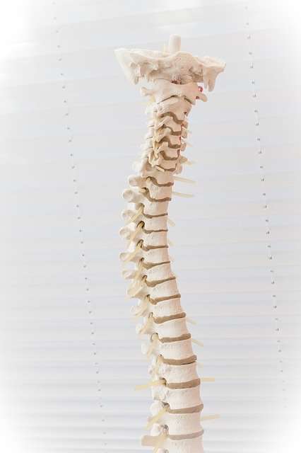 Herniated Disc  Scottsdale, AZ Orthopedic Spine Surgery