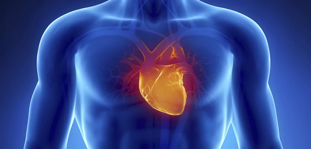 Heart Inflammation