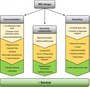 Chronic Lung Disease