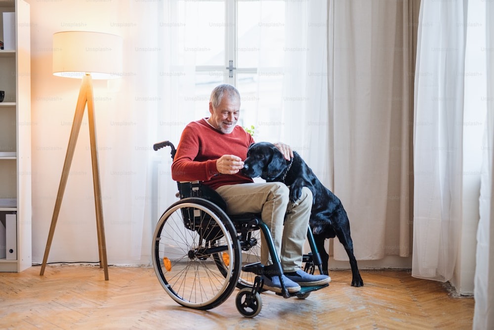 Chronic spinal cord injury (SCI) is a debilitating condition with few effective treatments. These injuries can completely change the quality of a patient’s life. Patients may struggle to engage in their everyday activities