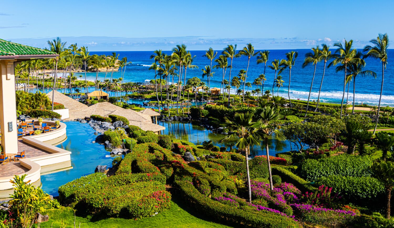 Hawaii and the ocean 