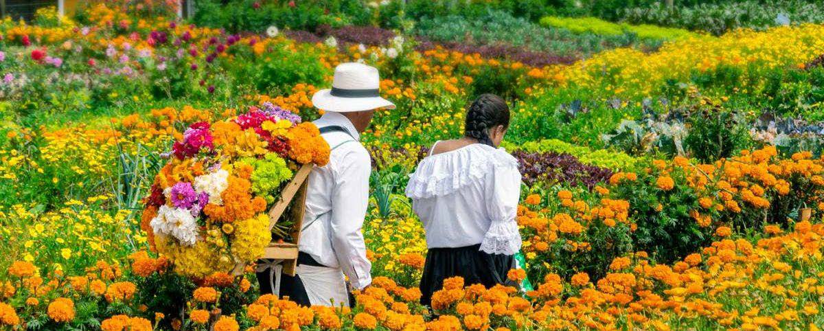 Indulge in the beauty of nature and immerse yourself in the vibrant cultural heritage of Medellín's famous "Silletero" tradition by joining us on a visit to a charming, family-owned flower farm on the outskirts of the city. Experience the joy of being surrounded by an exquisite array of flowers of every species, color, and size imaginable - a true feast for the senses. As you stroll through the verdant fields, you'll learn about the rich history and significance of the Silletero tradition, which gave birth to the iconic Flower Festival that has become a beloved symbol of Medellín's culture and identity. 5 hours approx. Santa Elena town. Flower Farm. Traditional snacks & coffee. Cable Car ride through the rainforest.